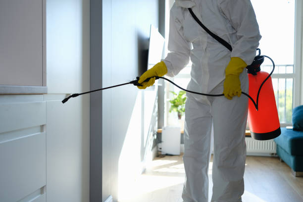 Best Mold Removal Process  in Kernersville, NC